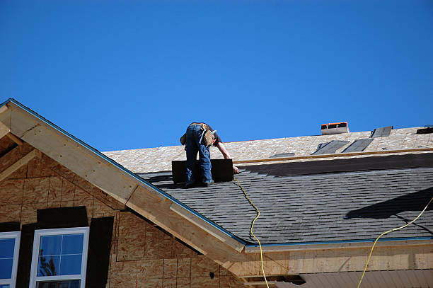 Best Roof Leak Repair  in Flint, MI