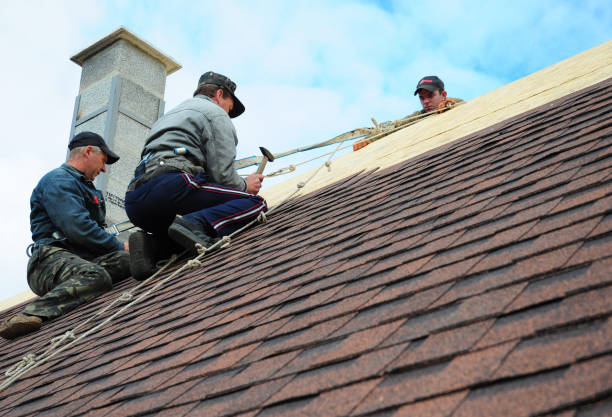 Best Residential Roofing Contractor  in Flint, MI